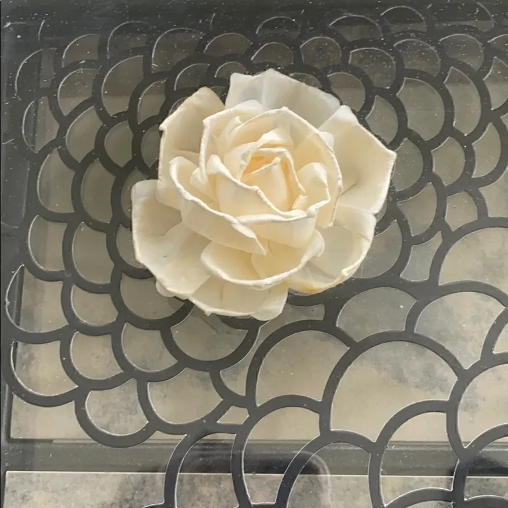 Pier 1 Shadow Box Wall Art Decor